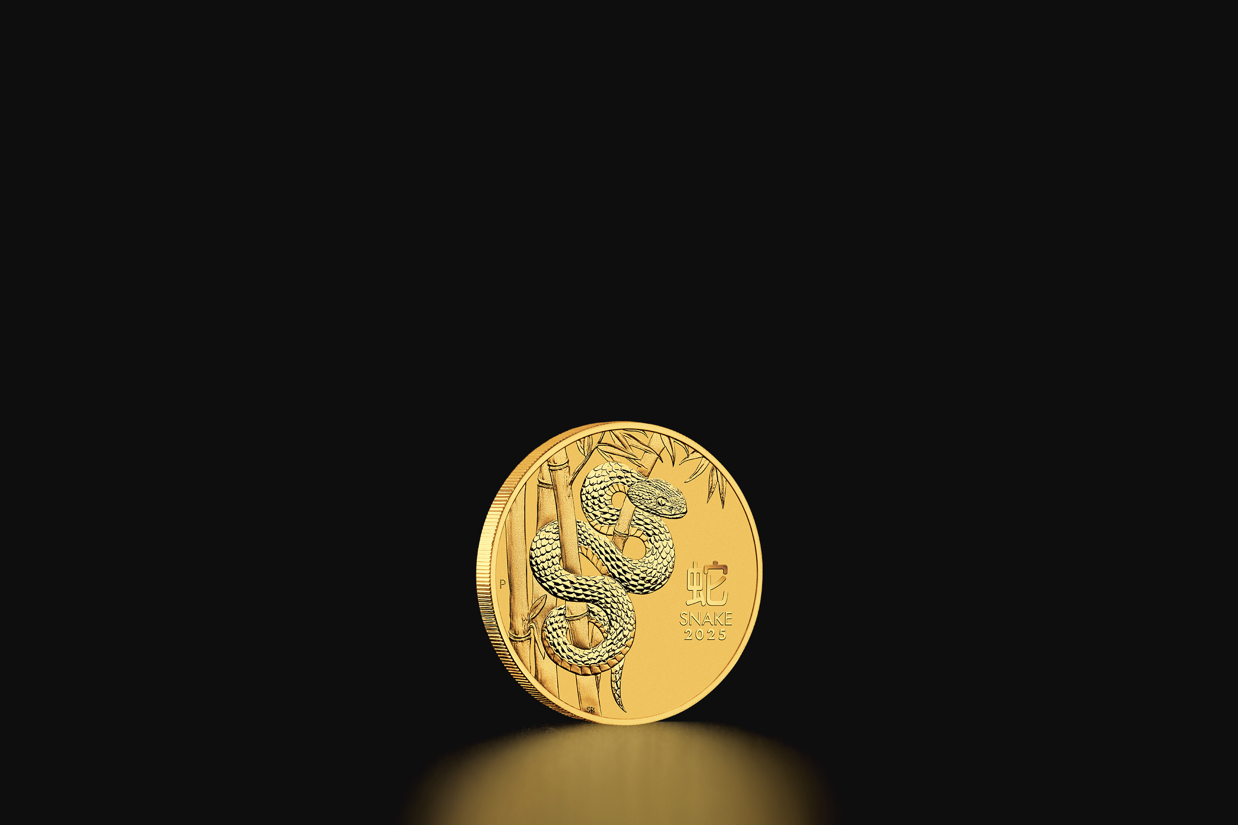 THE GOLD　ゴールドのすべて THE GOLD ゴールドのすべて | 池水雄一 |本 | 通販 | Amazon