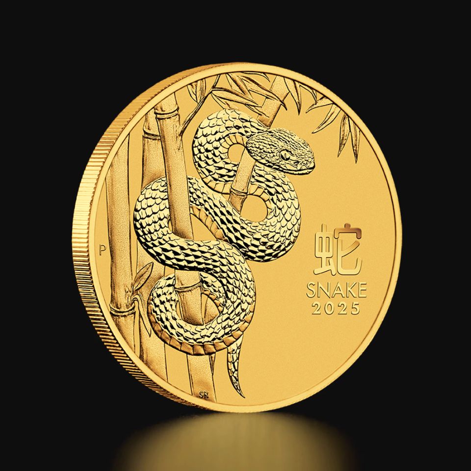 THE GOLD ゴールドのすべて THE GOLD ゴールドのすべて | 池水雄一 |本 | 通販 | Amazon